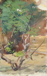Albero giovane ramificato con due fiori