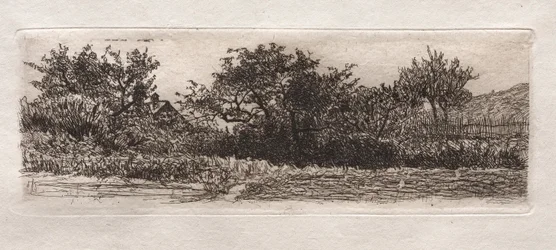 Tetti e Alberi