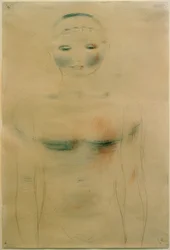 Figura frontale a metà. Dalla serie Rosa
