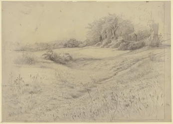 Paesaggio boschivo presso Kronberg