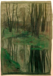 Bosco alluvionale (Sarnau)