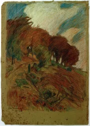 Sentiero in pendenza con alberi
