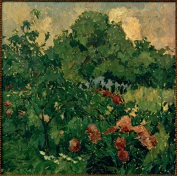Il mio giardino