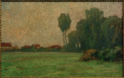 Nebbia sul prato