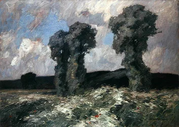 Salici nella Valle della Lahn