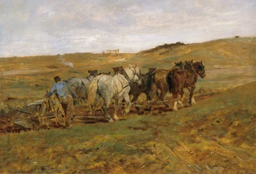 Contadino che ara