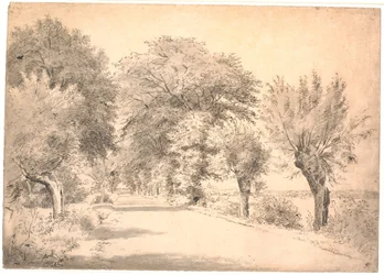 La strada presso la tenuta di Vognserup