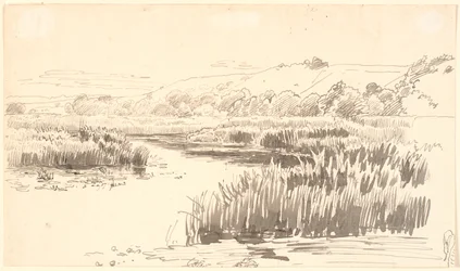 Paesaggio con un fiume lungo la cui riva crescono alti giunchi. Colline sullo sfondo. Probabilmente Vejle