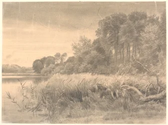 Paesaggio con lago nella foresta. Lago Gurre.