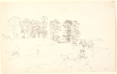 Paesaggio con alberi