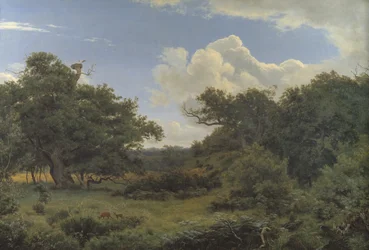 Querce nella Nordskoven vicino a Jægerspris, Zelanda