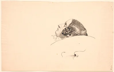 Ritratto di profilo della moglie dell