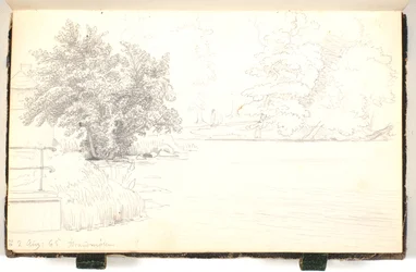 Paesaggio boschivo vicino a un lago