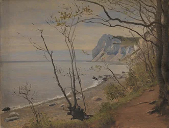 Le scogliere dell