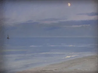 Spiaggia di Skagen al chiaro di luna