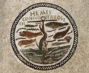 Mosaico con ancora circondata da pesci, simbolo di Cristo e dei suoi seguaci, Catacombe di Sousse, Tunisia, periodo paleocristiano, IV secolo