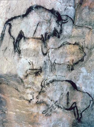 Bisonte ferito, Magdaleniano
