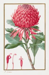Senza titolo, 1828-1835