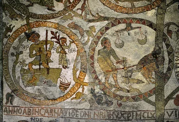 I segni dello Zodiaco dal pavimento a mosaico della
cattedrale di Otranto (mosaico)