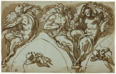 Studio per la decorazione del pennacchio con Satira, Satiri e Putti (recto); Testa di Putto (verso)