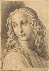 Testa di una donna, da 42 Studi di Teste dopo Raffaello
