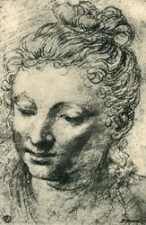 Testa di una donna che guarda in basso, metà XVI secolo, 1943