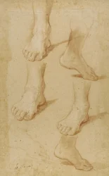 Disegno