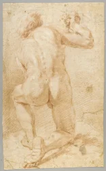 Disegno