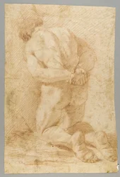 Disegno