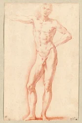 Un nudo maschile (gesso rosso)