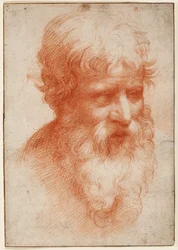 Testa di un uomo barbuto, guardando a destra, c.1523-25