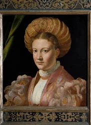 Ritratto di una giovane donna, Contessa Gozzadini