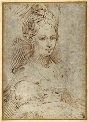 Mezza lunghezza di una donna seduta