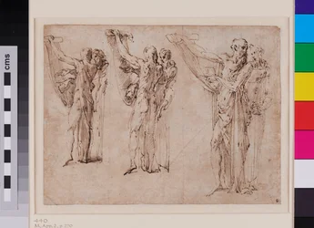 Tre studi di San Girolamo e San Francesco in conversazione, recto c. 1534 - 1539 (penna e inchiostro marrone con lavaggio grigio su carta vergata)