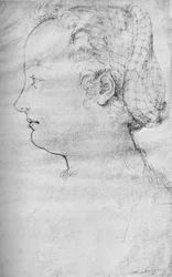 Ritratto di una signora