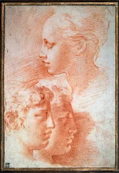 Studio delle teste, c. 1527