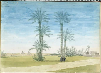 Egitto: Piramidi di Giza
