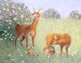 Famiglia di cervi (olio su tela)