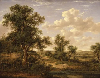 Brughiera vicino a Godstone