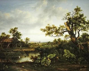 Paesaggio boscoso