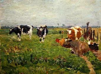 Paesaggio estivo di pianura con mucche