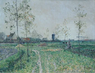 Paesaggio autunnale vicino a Knokke, Belgio