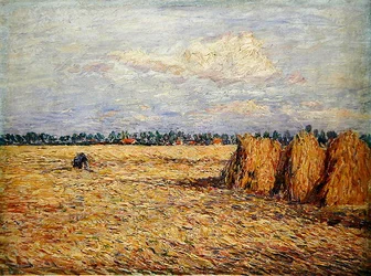Paesaggio piatto con campo di grano mietuto (olio su tela)