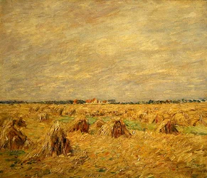 Campi raccolti in un paesaggio piatto