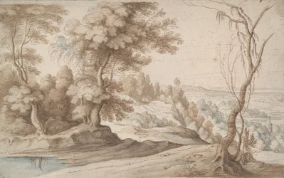Paesaggio con alberi e vista su una valle