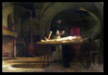 Scena di dissezione