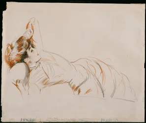 Una Signora Elegante Distesa