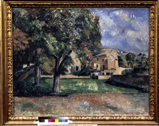 Alberi in un parco. Jas de Bouffan