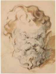 Testa di Sileno