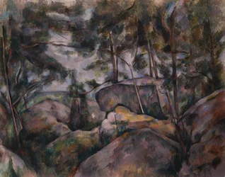 Rocce nella Foresta